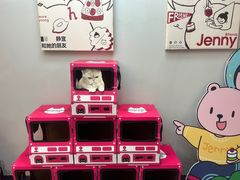 -静宜和她的朋友(星海广场店)
