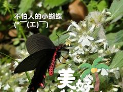-大蜀山国家森林公园