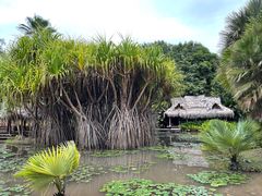-中国科学院西双版纳热带植物园