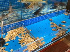 -蓝钻·国际美食海鲜自助百汇(西直门店)