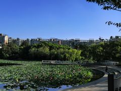-新江湾城公园