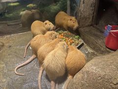 -洛阳龙门海洋馆