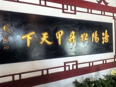 -神州牡丹园