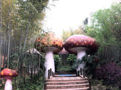 -天目湖山水园