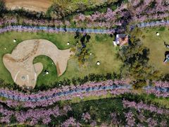 -福建鲤鱼洲酒店