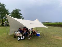 -春花秋色城市公园