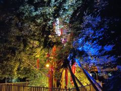 -西安汉城湖景区