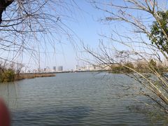 -艾溪湖湿地公园