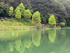 -铁山坪森林公园