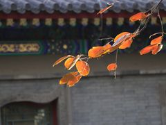 -恭王府博物馆