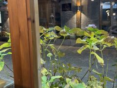 -陀岗美食·云南藏式特色餐厅