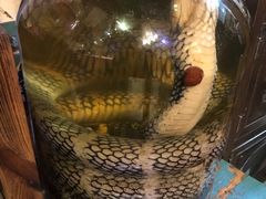 -龙桥私厨·姜花菊花过桥鱼·顺德菜(容桂店)