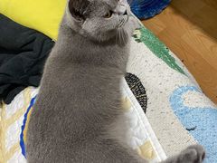 -爱诺动物医院(崂山店)