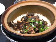 -红星光发煲仔饭(大石街店)