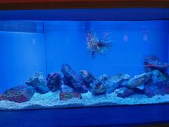 -上海海洋水族馆