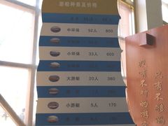 -白洋淀景区