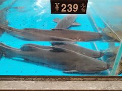 -艳阳天·非遗楚菜(武汉客厅店)