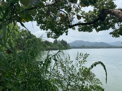 -浙江西子宾馆·牡丹厅