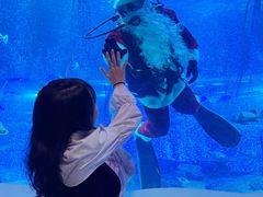 -沈阳海洋探索中心