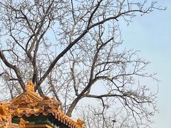 -故宫博物院(故宫)