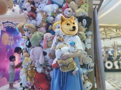 -LLJ夹机占(清河万象汇店)