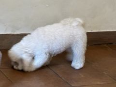 -東茅街茶馆