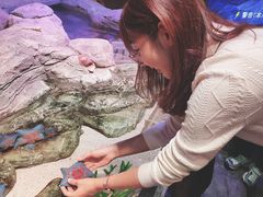 -沈阳海洋探索中心