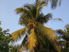-沙美村
