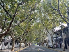 -夏朵花园(复兴西路店)