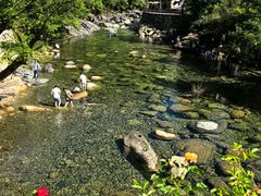 -石台牯牛降景区