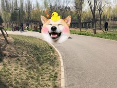 -东郊湿地公园