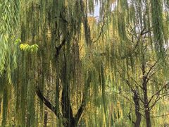 -玲珑塔公园
