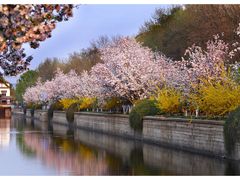 -海棠花溪(元大都城垣遗址公园)
