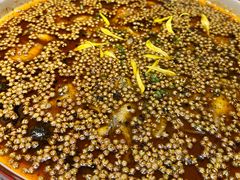 -四川饭店(长白店)