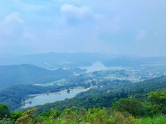 -大姆山草场