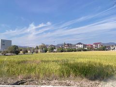 -径山花海