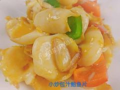 -明日星月嫂服务中心