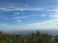-紫金山山顶公园