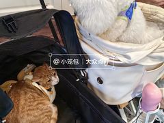 -瑞虹新天地月亮湾
