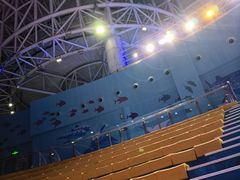 -烟台海昌鲸鲨海洋公园