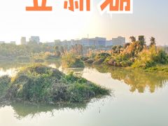 -立新湖公园