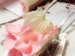 -BLACKSWAN黑天鹅(环球店)