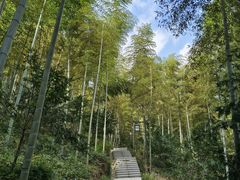 -东明山森林公园