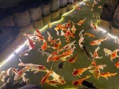 -重庆欢乐海底世界