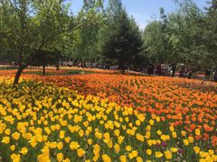 -长春公园(普阳街道)