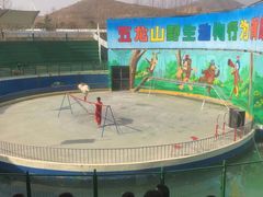 -五龙山野生动物王国