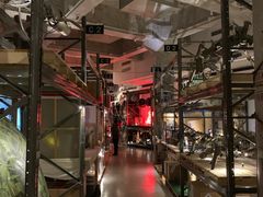 -北京三里屯CHAO酒店