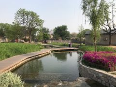 -春风习习