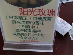 -马陆小张葡萄园农家乐