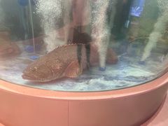 -海底捞大排档火锅(打浦路店)